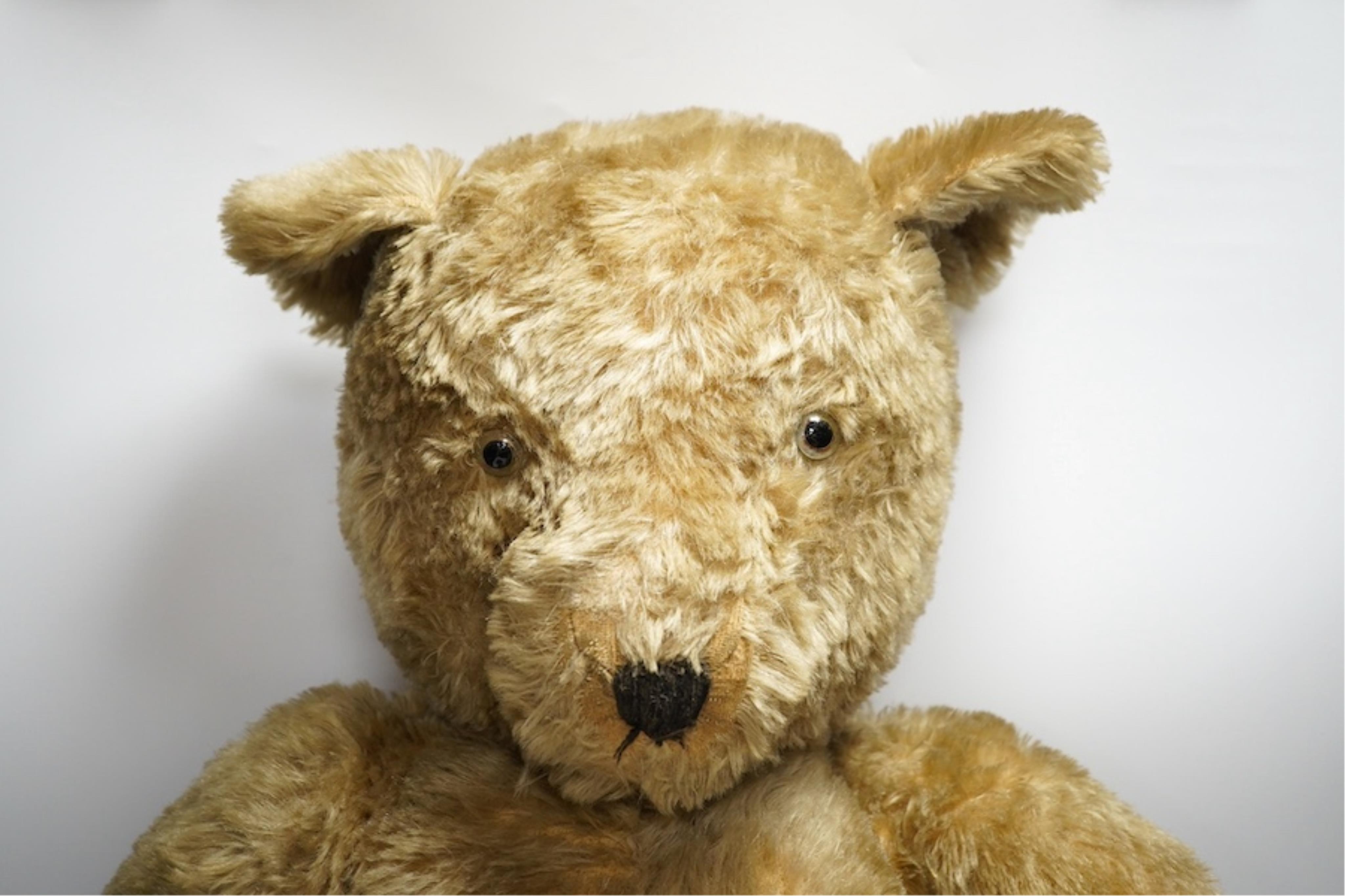 A 1950s Chiltern bear, rare large size, 80cm. Condition - good